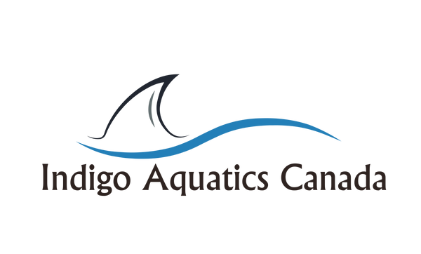 Indigo Aquatics Canada